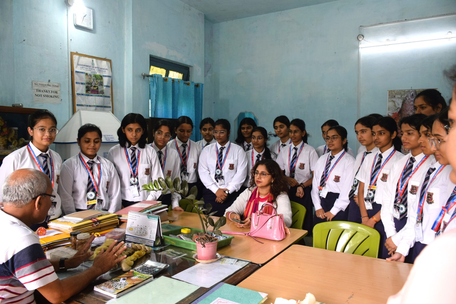 undergraduate education