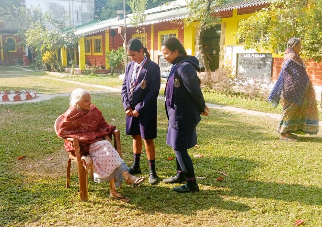 undergraduate education