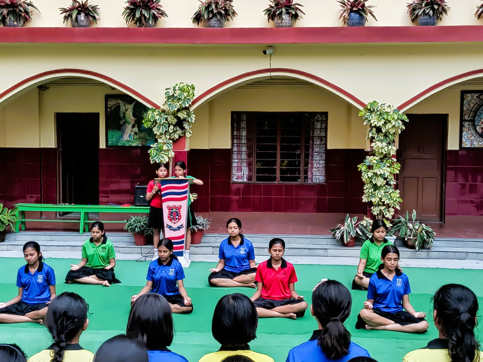 undergraduate education